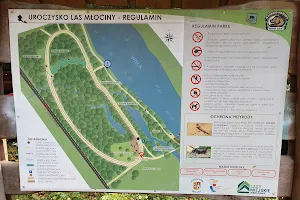Park Młociński image
