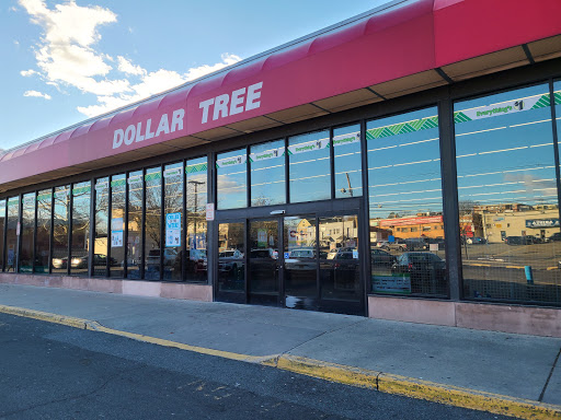 Dollar Store «Dollar Tree», reviews and photos, 24 Portland Ave, Bergenfield, NJ 07621, USA