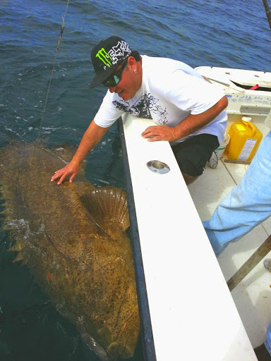 Fishing Charter «Bent Charters Offshore Fishing», reviews and photos, 503 150th Ave, Madeira Beach, FL 33708, USA