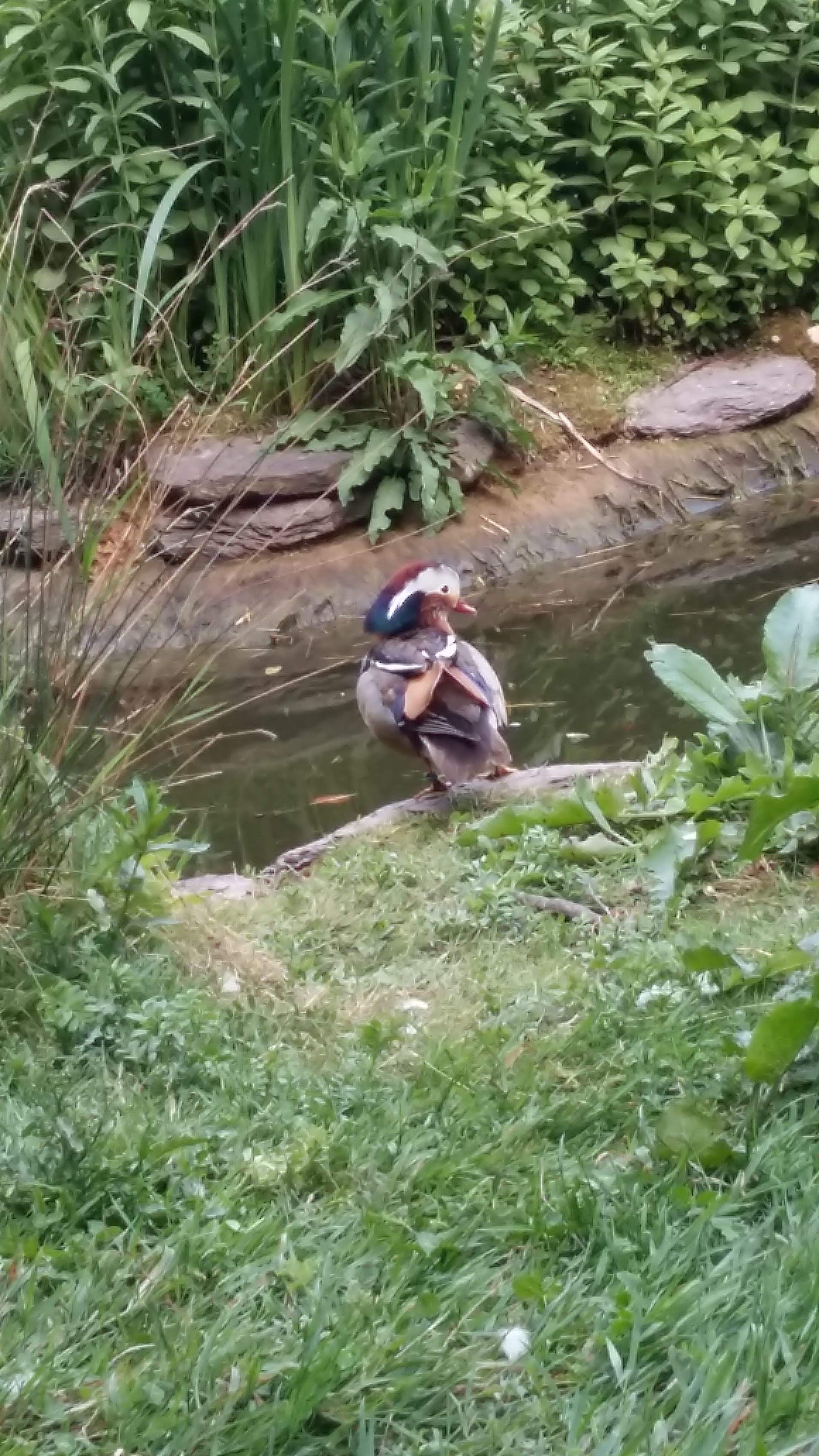 Photo n° 12 de l'avis de Voldor.5 fait le 19/05/2019 à 22:17