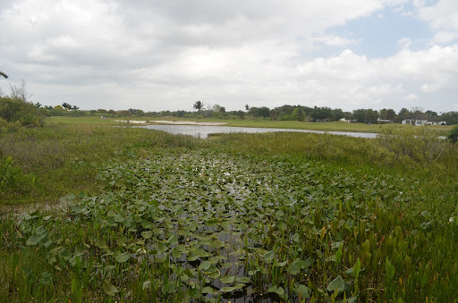 Golf Club «Plantation Preserve Golf Course & Club», reviews and photos, 7050 W Broward Blvd, Plantation, FL 33317, USA