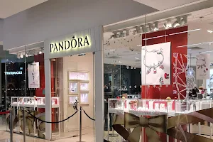 Pandora Derby image