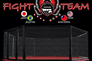 Fight Team LLC image