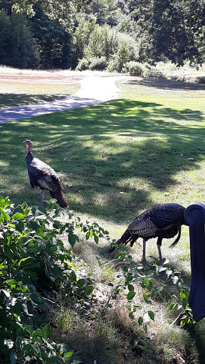 Golf Course «George Wright», reviews and photos, 420 West St, Hyde Park, MA 02136, USA