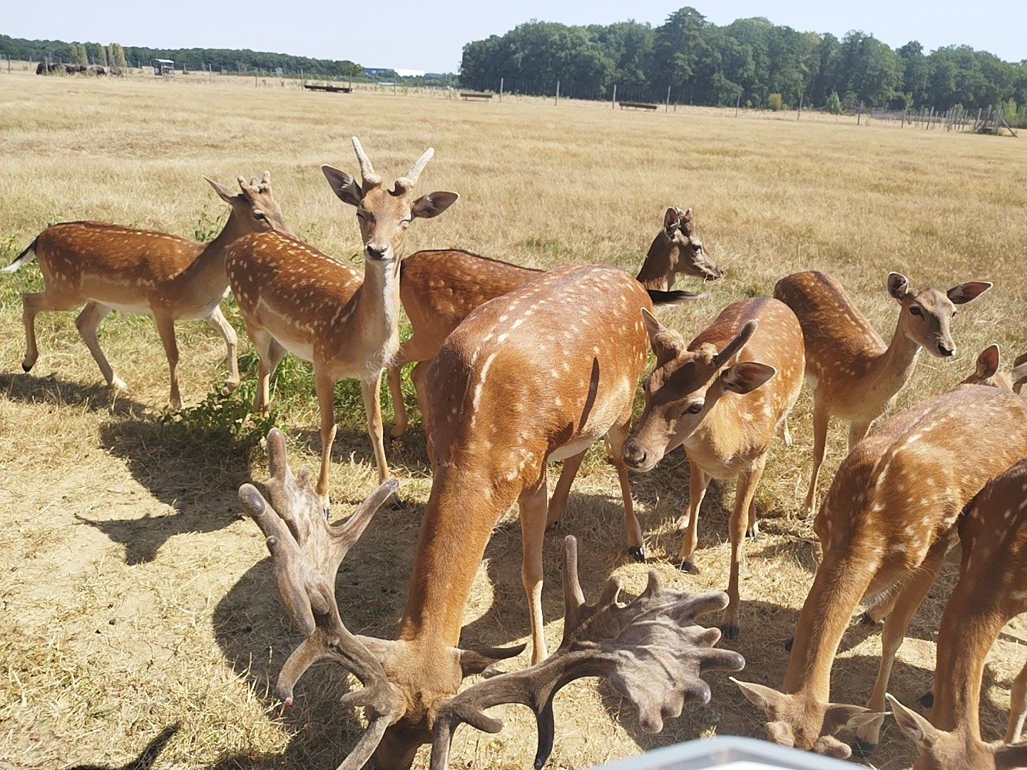 Photo n° 23 de l'avis de Key. fait le 19/07/2022 à 15:42