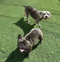 Amanda's Ark Pet Care, LLC - Photo 9 - Car repair in Greensboro, NC, Greensboro