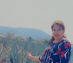 Panoramex Tours & Travel photo