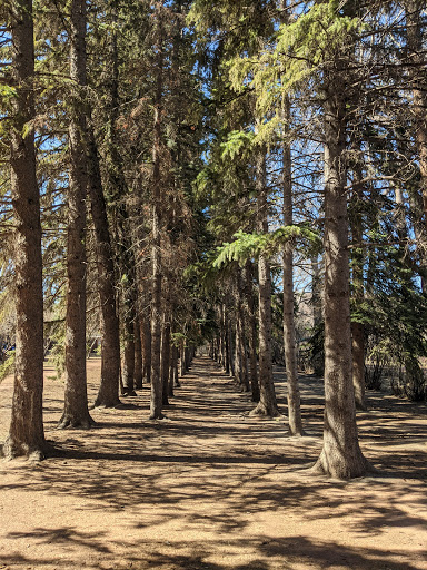 Edworthy Park Picnic Site 9