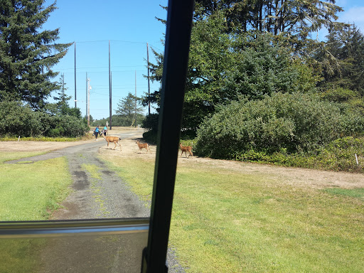 Public Golf Course «Ocean Shores Golf Course», reviews and photos, 500 Canal Dr NE, Ocean Shores, WA 98569, USA