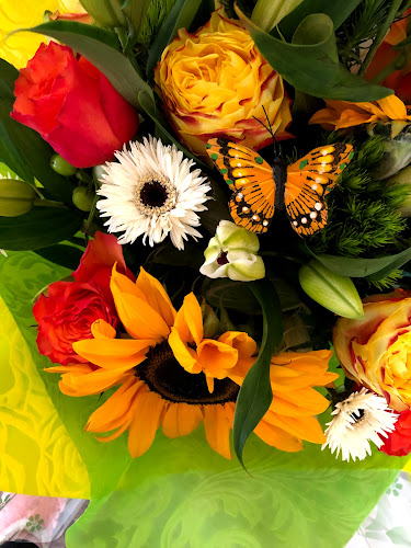 Titleys Flowers / Direct Florist Supplies - Florist