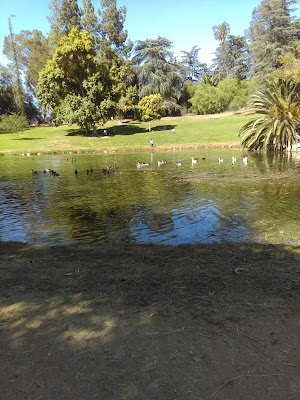 Ford Park - photo 12