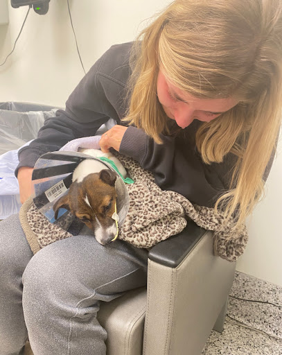 Pet Store «Petland Lewis Center», reviews and photos, 86 Meadow Park Ave, Lewis Center, OH 43035, USA