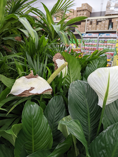 Home Improvement Store «The Home Depot», reviews and photos, 160 Laconia Rd, Tilton, NH 03276, USA