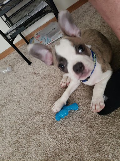 Pet Supply Store «Pet Goods», reviews and photos, 10 Commerce Blvd, Succasunna, NJ 07876, USA