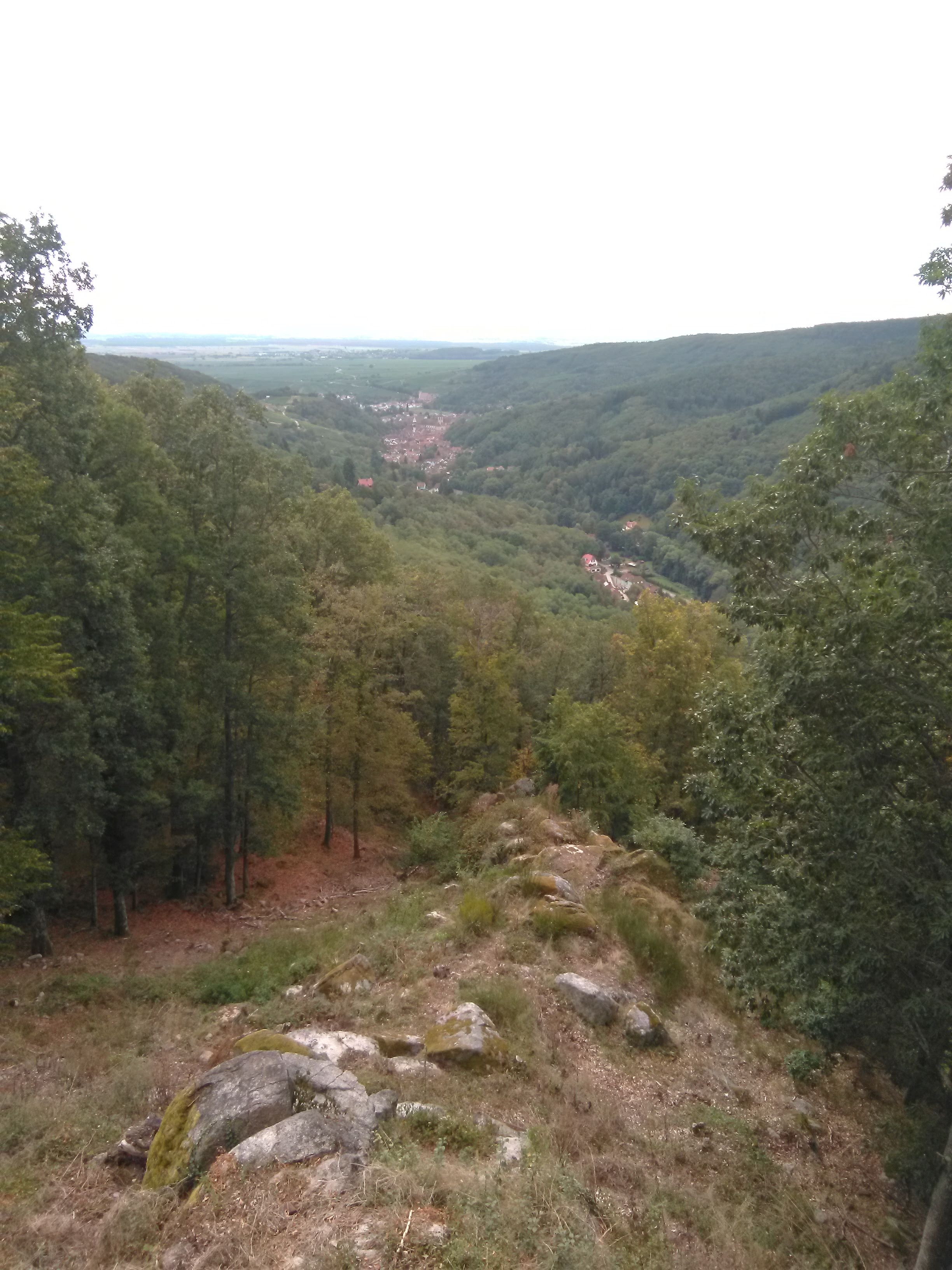 Photo n° 10 de l'avis de Dmitriy.i fait le 27/09/2019 à 10:07