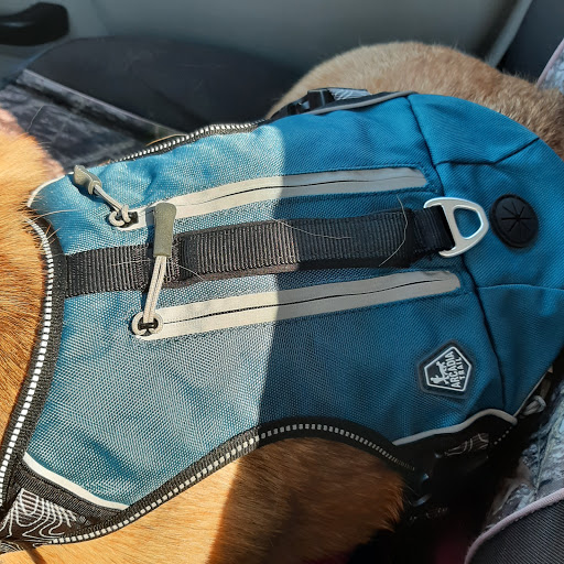 Electronics Store «Best Buy», reviews and photos, 8487 Grand River Ave, Brighton, MI 48116, USA