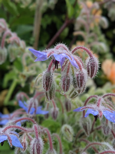 Park «Kirke Park», reviews and photos, 7028 9th Ave NW, Seattle, WA 98117, USA