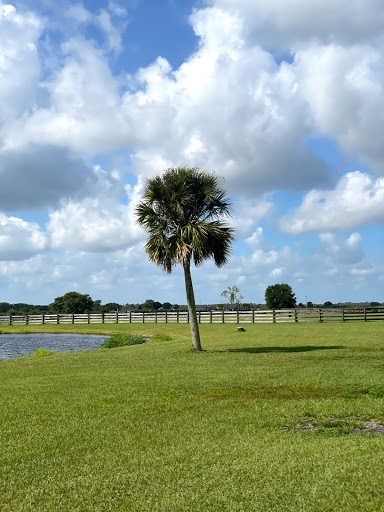 Used Car Dealer «Bird Road Auto Sales», reviews and photos, 7339 SW 45th St, Miami, FL 33155, USA