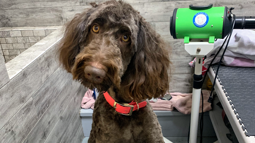 Happy Tails Pet Grooming