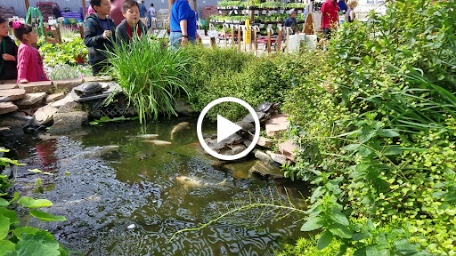 Park «All American Park», reviews and photos, 1551 S Buffalo Dr, Las Vegas, NV 89117, USA