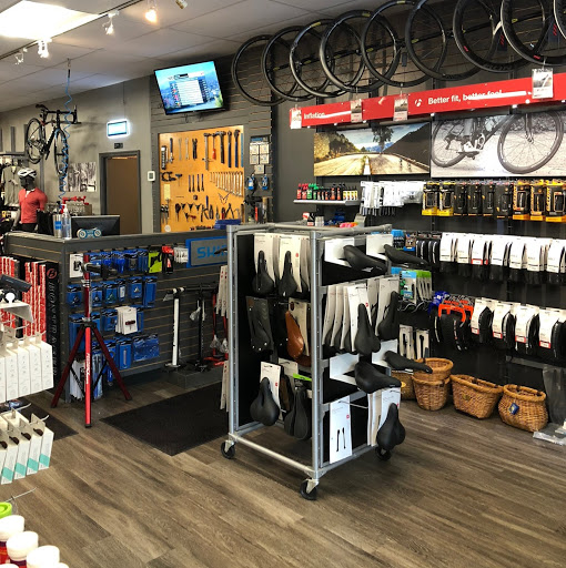 Bicycle Repair Shop «Arnold Bike Doctor», reviews and photos, 953 Ritchie Hwy, Arnold, MD 21012, USA