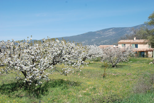 Lodge Cabanon des Cerises Bédoin