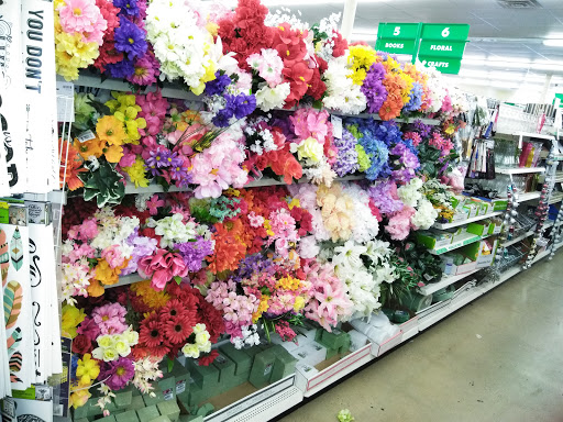 Dollar Store «Dollar Tree», reviews and photos, 4811 Edgmont Ave, Brookhaven, PA 19015, USA