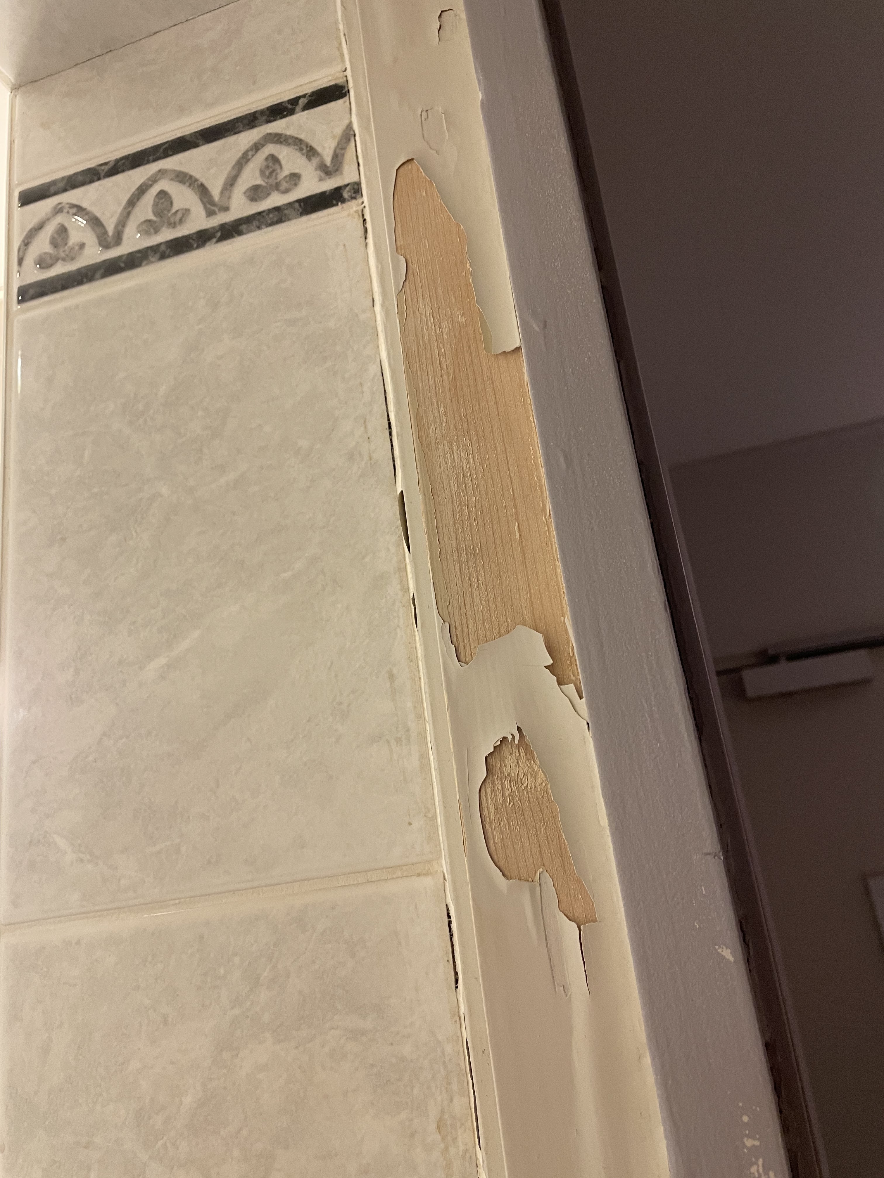 Photo n° 1 de l'avis de Etienne.A fait le 22/02/2024 à 23:14