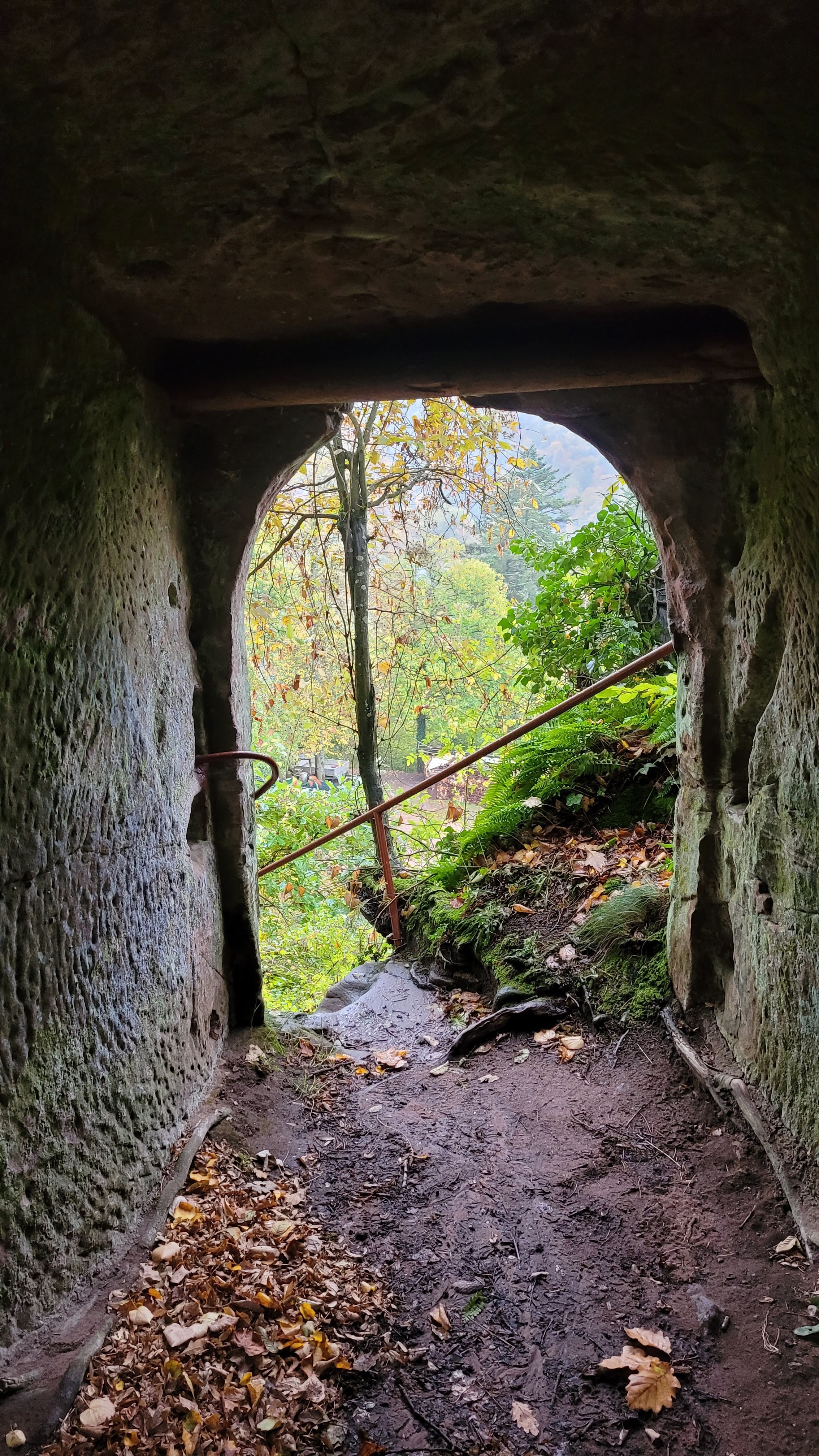 Photo n° 8 de l'avis de Verena.a fait le 31/10/2023 à 09:18