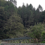 Photo n°21 de l'avis de diana.b fait le 19/09/2020 à 16:53 sur le  Ristorante La Casina à Drena