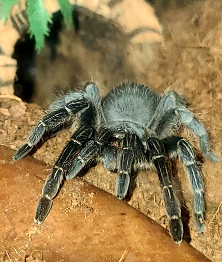 Pet Store «The Pet Works», reviews and photos, 1257 Commerce Ave, Longview, WA 98632, USA