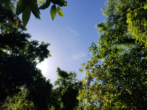 Park «Simpson Park», reviews and photos, 5 SW 17th Rd, Miami, FL 33129, USA