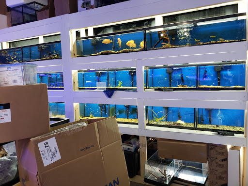 Tropical Fish Store «Quantum Reefs», reviews and photos, 7025 Brookfield Plaza, Springfield, VA 22150, USA