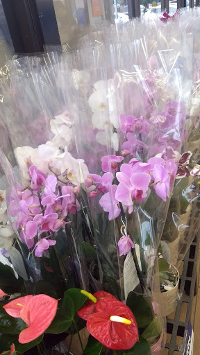 Discount Store «Walmart», reviews and photos, 795 Texas Ave, Bridge City, TX 77611, USA