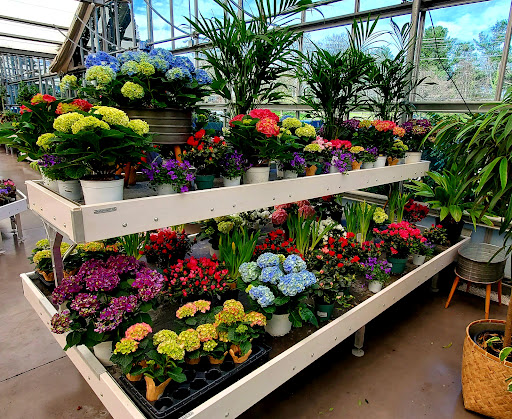 Garden Center «Homestead Gardens», reviews and photos, 743 Central Ave, Davidsonville, MD 21035, USA