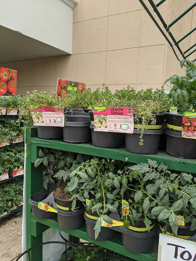 Home Improvement Store «The Home Depot», reviews and photos, 244 US-202, Flemington, NJ 08822, USA