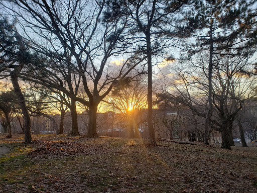 Park «Claremont Park», reviews and photos, Clay Ave & E. 170 St, Bronx, NY 10457, USA
