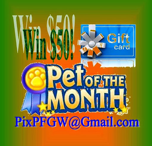Pet Supply Store «Pet Food Gone Wild», reviews and photos, 2415 Southern Blvd SE, Rio Rancho, NM 87124, USA