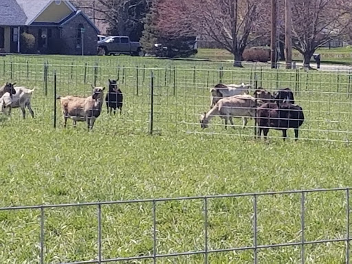 Farm «Goat Milk Stuff», reviews and photos, 76 S Lake Rd N, Scottsburg, IN 47170, USA