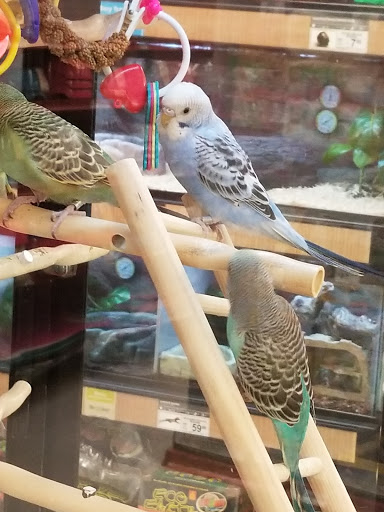 Pet Supply Store «Petco Animal Supplies», reviews and photos, 1009 E Commercial Blvd, Oakland Park, FL 33334, USA