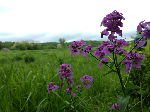 Bird Watching Area «Jelke Creek Bird Sanctuary», reviews and photos, Boncosky Rd, Dundee Township, IL 60118, USA
