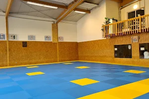 Erster Mannheimer Judo Club e.V. image