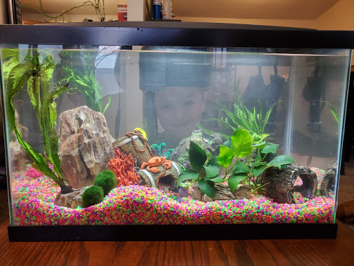 Aquarium «Artistic Aquariums, Inc», reviews and photos, 3400 N Arizona Ave #111, Chandler, AZ 85225, USA