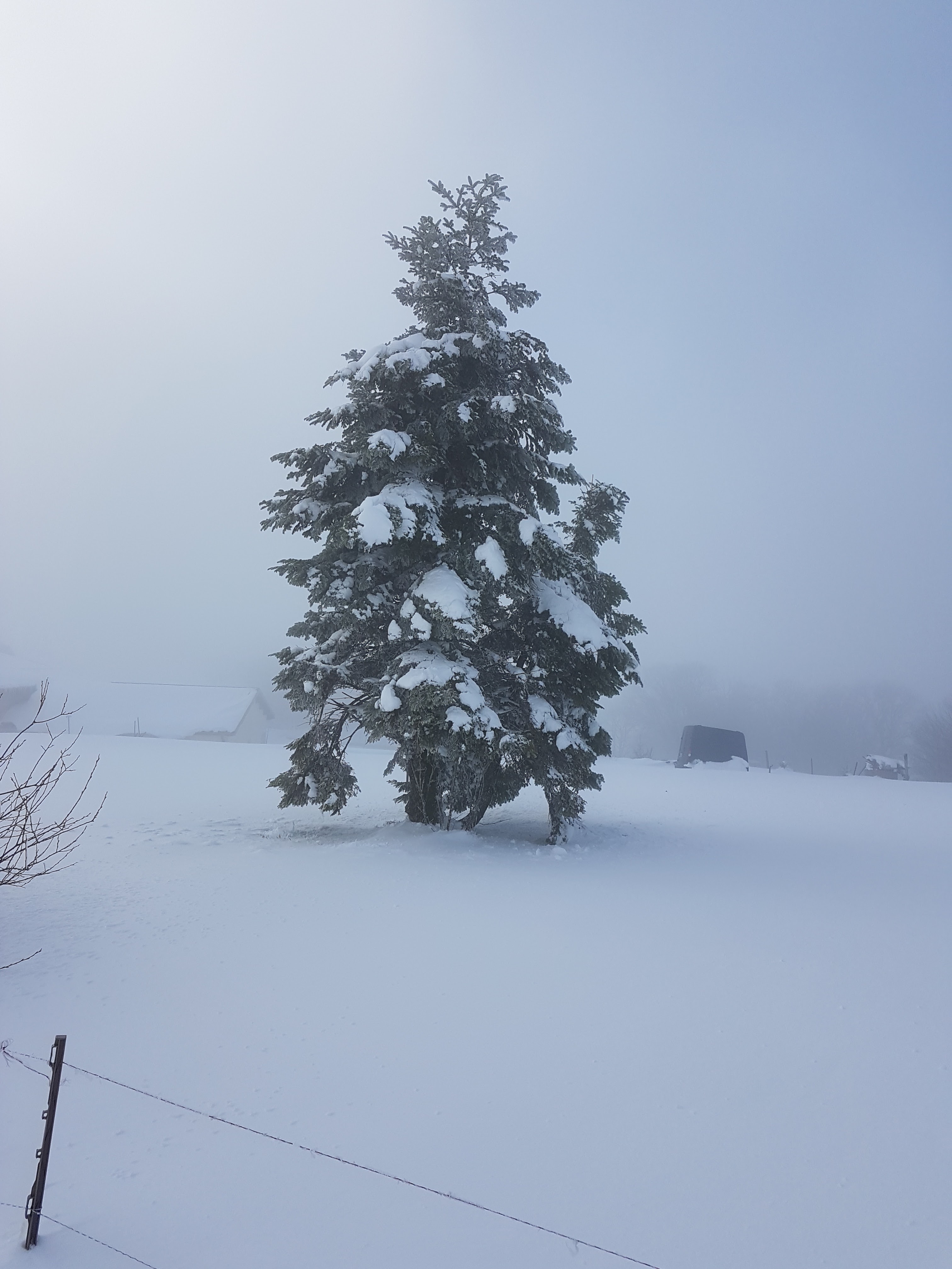 Photo n° 1 de l'avis de B..a fait le 21/11/2019 à 13:08