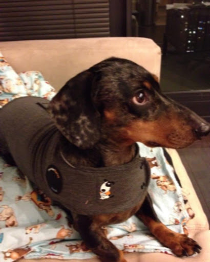 Insurance Agency «Dave Mader - State Farm Insurance Agent», reviews and photos