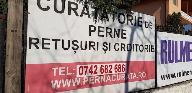 Croitor Perne Curată - <nil>