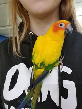 Pet Store «Tanks Pet Supply», reviews and photos, 628 S Main St, Princeton, IL 61356, USA