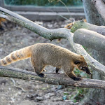 Photo n° 1 de l'avis de Hugo.O fait le 16/02/2022 à 14:36 pour ZooParc de Beauval Entrée Nord à Saint-Aignan