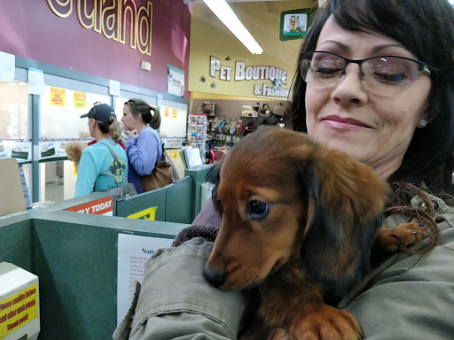 Pet Store «Petland Montgomery», reviews and photos, 7127 Eastchase Pkwy, Montgomery, AL 36117, USA