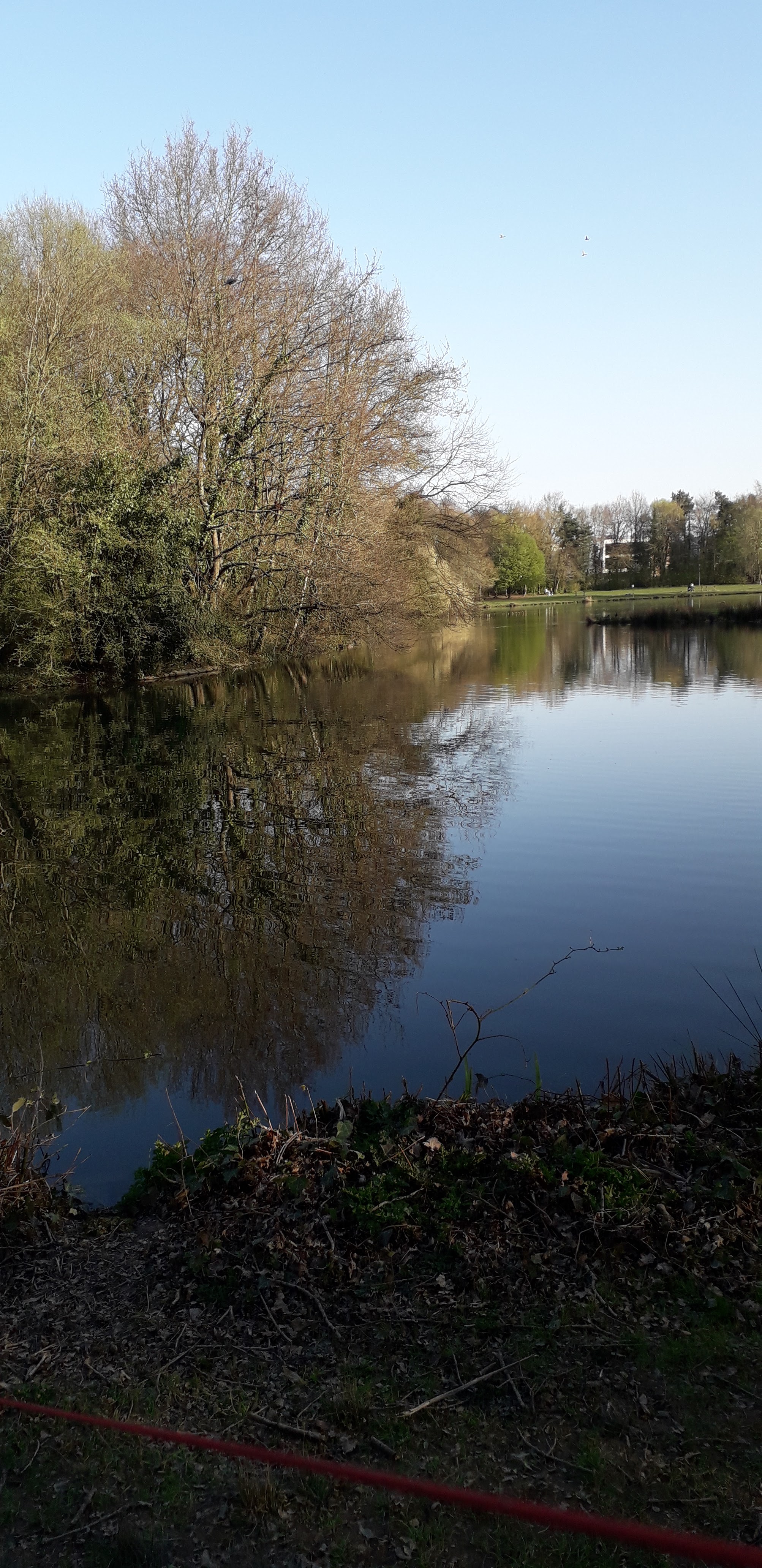 Photo n° 3 de l'avis de Aude.u fait le 23/03/2022 à 22:06